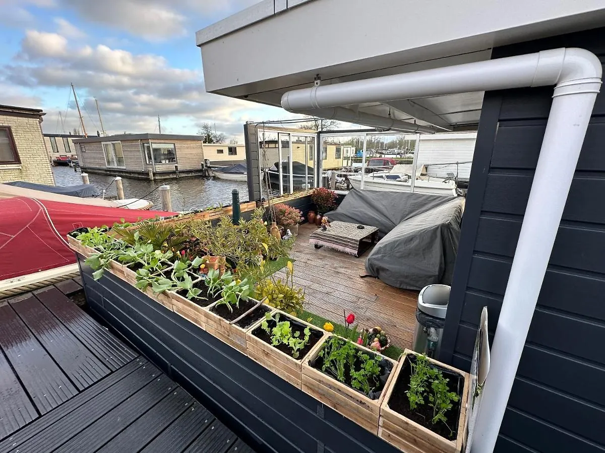 Rw-Aalsmeer,Waterloft Near Amsterdam And Schiphol 0*, Aalsmeer Netherlands